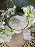 Orchidée Blanche