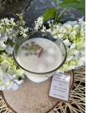 Orchidée Blanche
