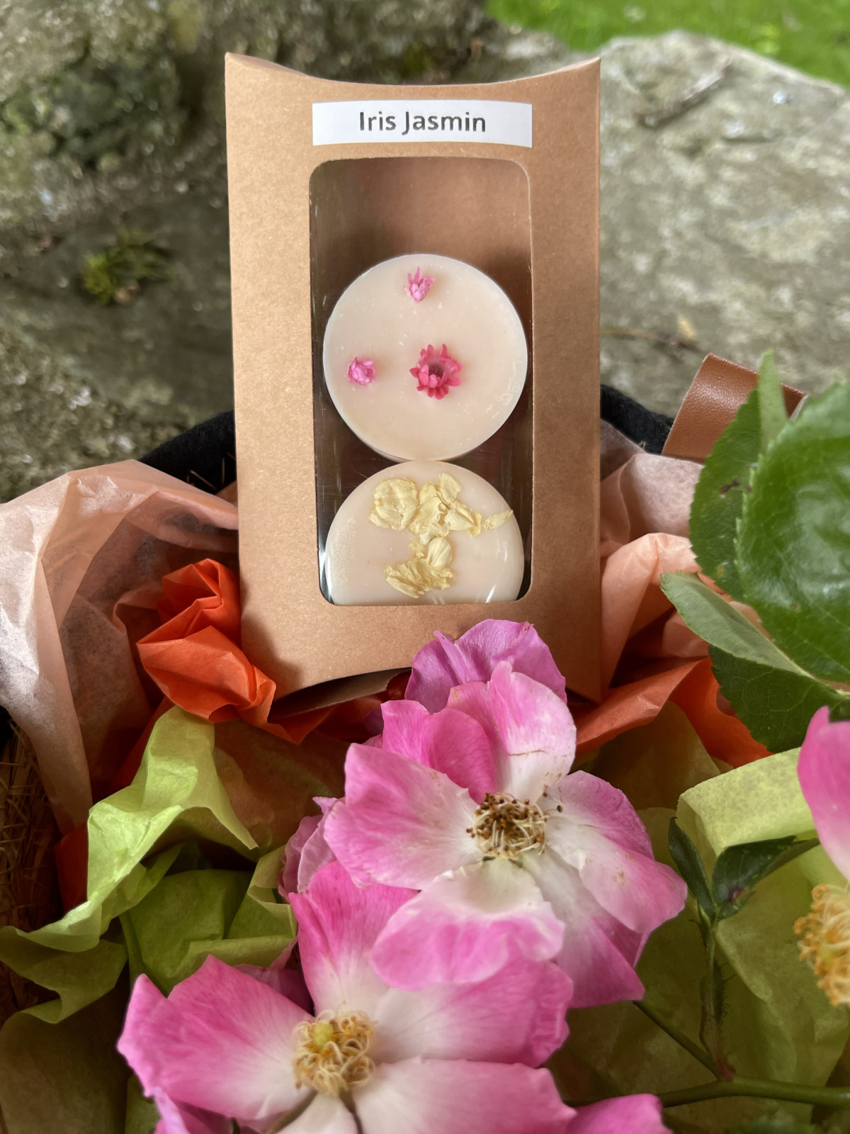 Iris Jasmin