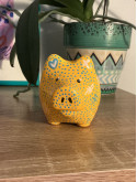 Splashy PiG