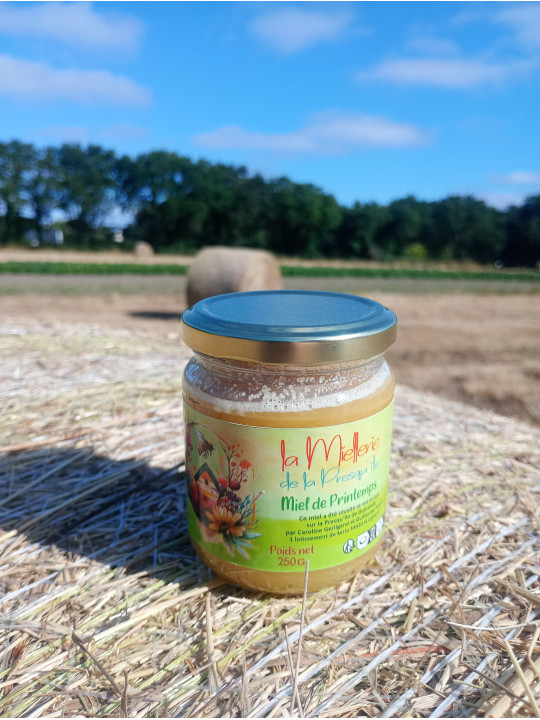 Miel de printemps 250grs