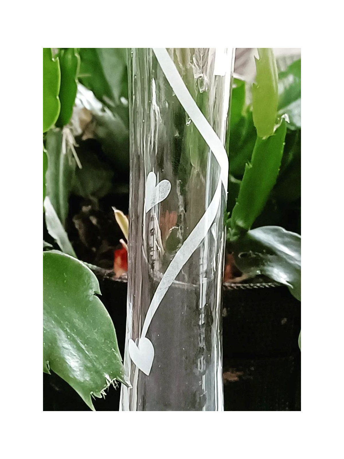 Vase Soliflore Cœurs Gravés | Verre Sablage Artisanal | Algan de Lux