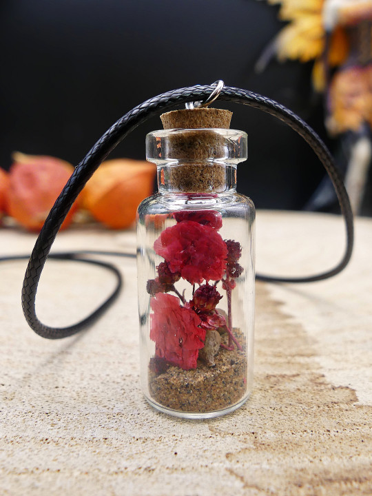 Collier en fiole simple - fleurs séchées rouge 