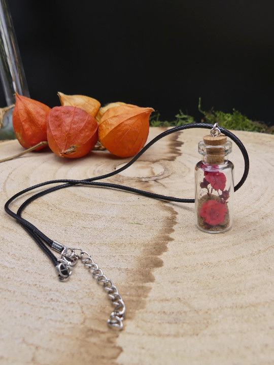 Collier en fiole simple - fleurs séchées rouge 