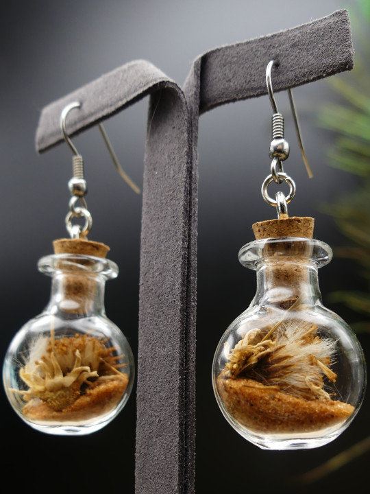 Boucles d'oreilles en fiole XL - rondes
