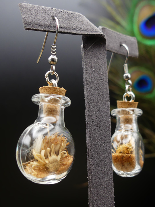 Boucles d'oreilles en fiole XL - rondes