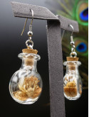 Boucles d'oreilles en fiole XL - rondes
