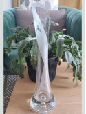 Vase Soliflore Breton Triskel Gravé | Artisanat Verre Sablage | Algan de Lux
