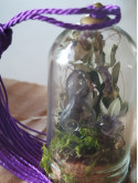 petit kodama violet