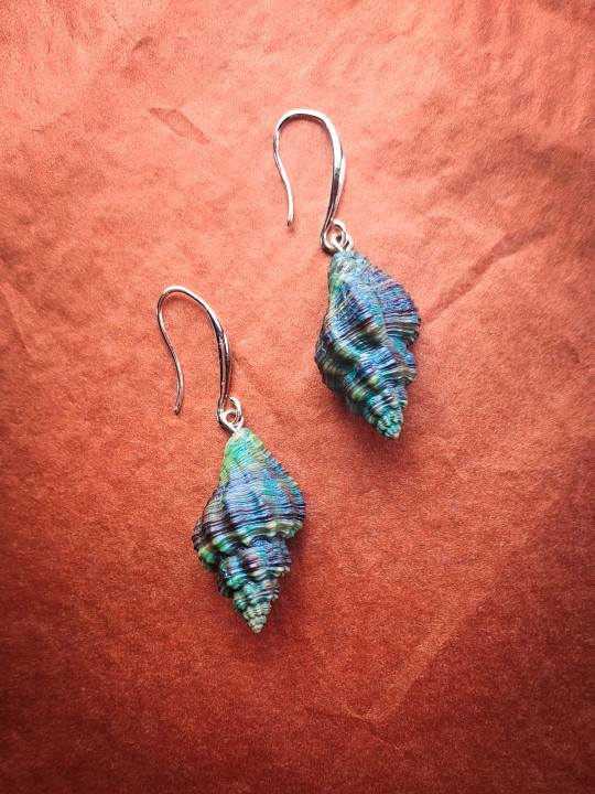 Boucles d’oreilles pendantes coquillages peints main bleu vert