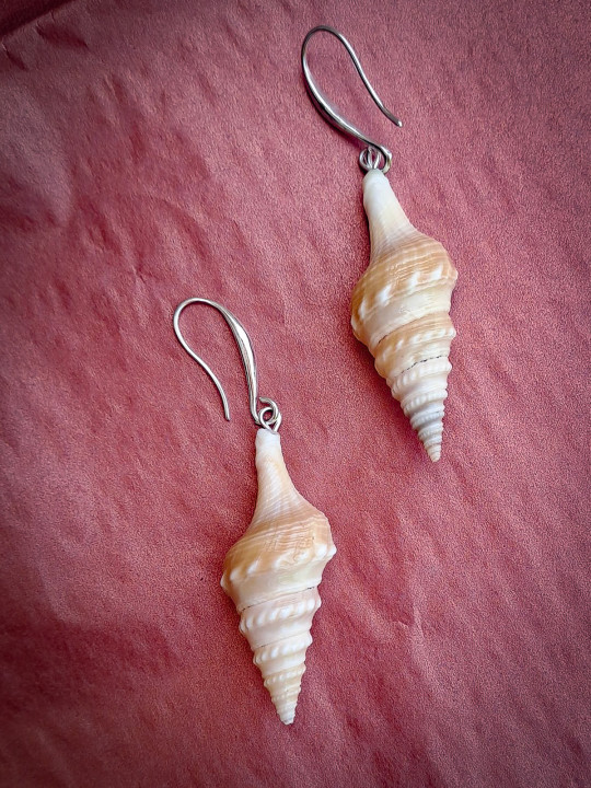 Boucles d’oreilles pendantes coquillage naturel bohème marin