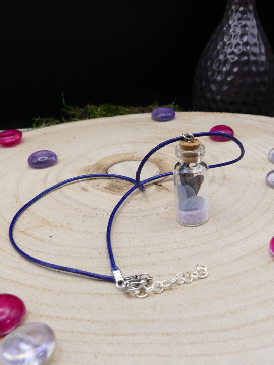 Collier en fiole simple - fleurs séchées bleues