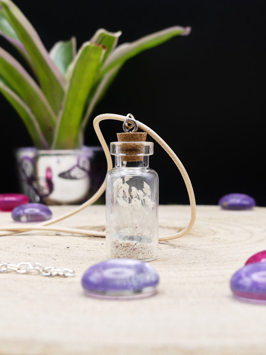 Collier en fiole simple - fleurs séchées blanches