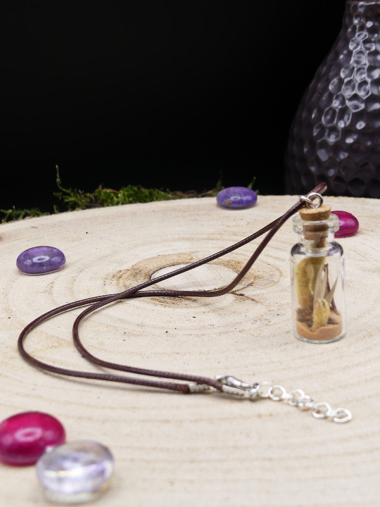 Collier en fiole simple - fleurs séchées estival