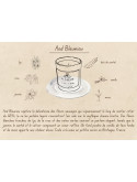 Aod Bleuniou - Bougie parfumée artisanale fabriquée en Bretagne