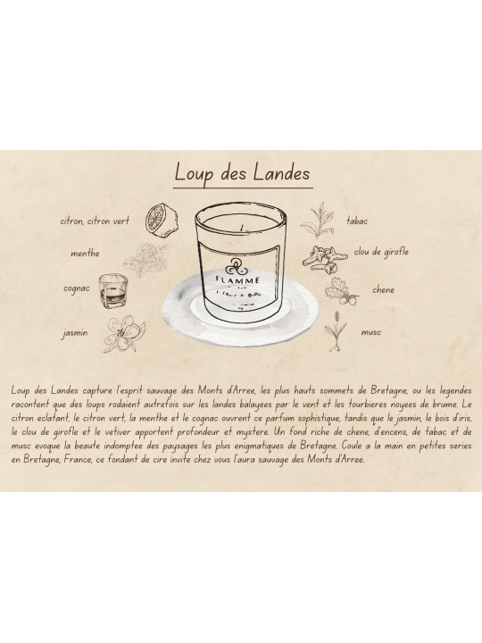 Loup des Landes - Bougie parfumée artisanale fabriquée en Bretagne