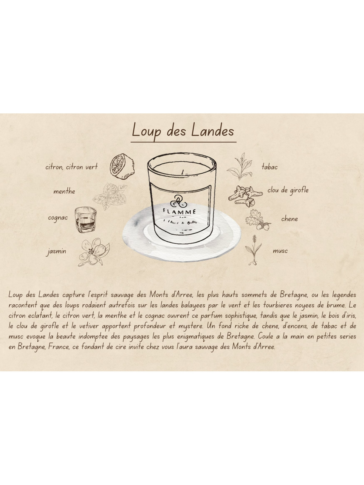 Loup des Landes - Bougie parfumée artisanale fabriquée en Bretagne