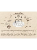 Lumière d'Ouest - Bougie parfumée artisanale fabriquée en Bretagne