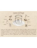 Lumière du Verger - Bougie parfumée artisanale fabriquée en Bretagne