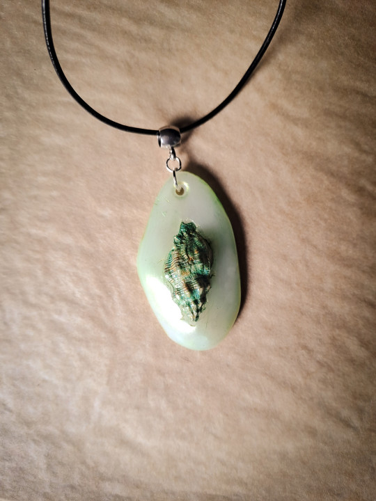 Collier véritable coquillage forme dent de requin vert sauge peint à la main – Pièce unique – Cordon cuir réglable
