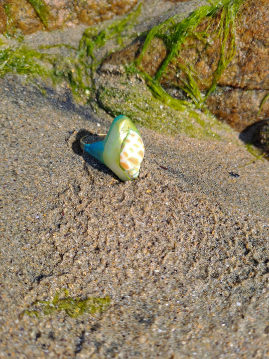 Bague coquillage naturel peint à la main – Argile polymère vert émeraude – Création artisanale