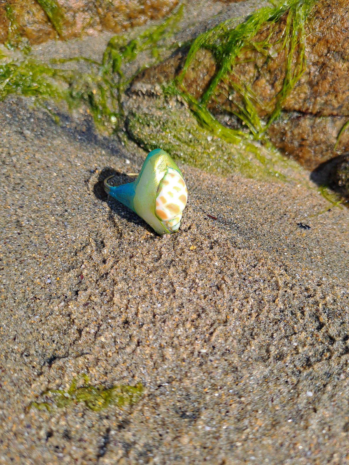 Bague coquillage naturel peint à la main – Argile polymère vert émeraude – Création artisanale