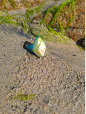 Bague coquillage naturel peint à la main – Argile polymère vert émeraude – Création artisanale