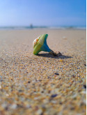 Bague coquillage naturel peint à la main – Argile polymère vert émeraude – Création artisanale