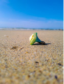 Bague coquillage naturel peint à la main – Argile polymère vert émeraude – Création artisanale