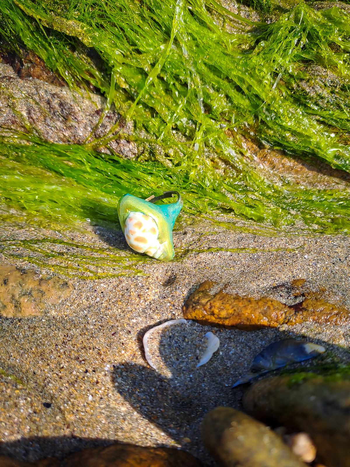 Bague coquillage naturel peint à la main – Argile polymère vert émeraude – Création artisanale