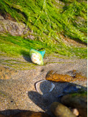 Bague coquillage naturel peint à la main – Argile polymère vert émeraude – Création artisanale