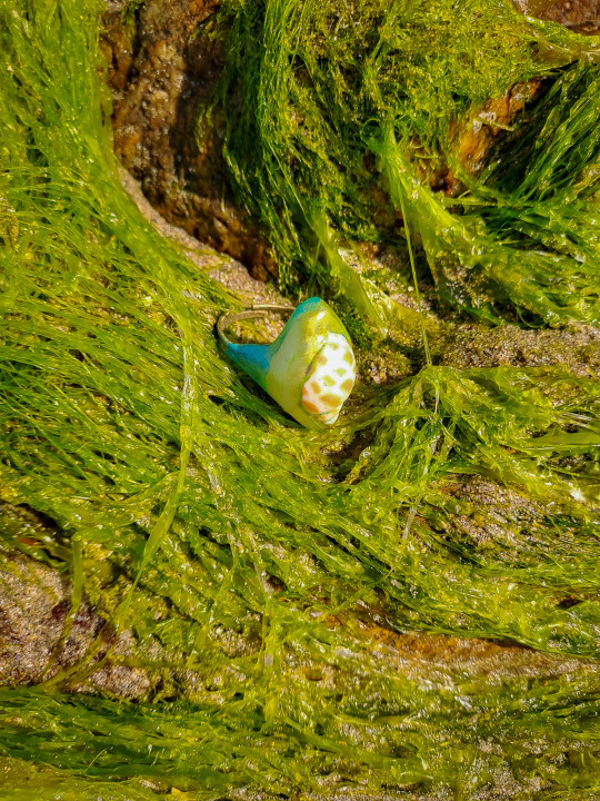 Bague coquillage naturel peint à la main – Argile polymère vert émeraude – Création artisanale