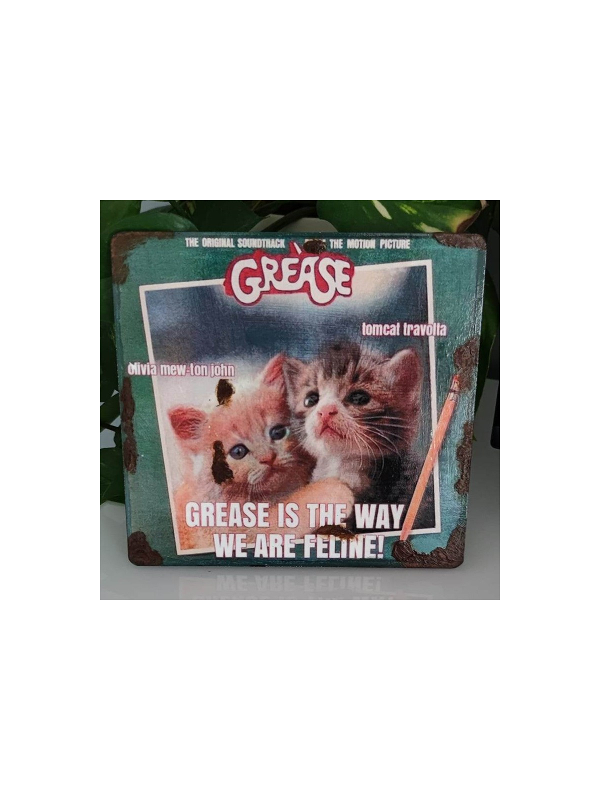 Plaque déco Grease Chatons - 100% mignonnerie