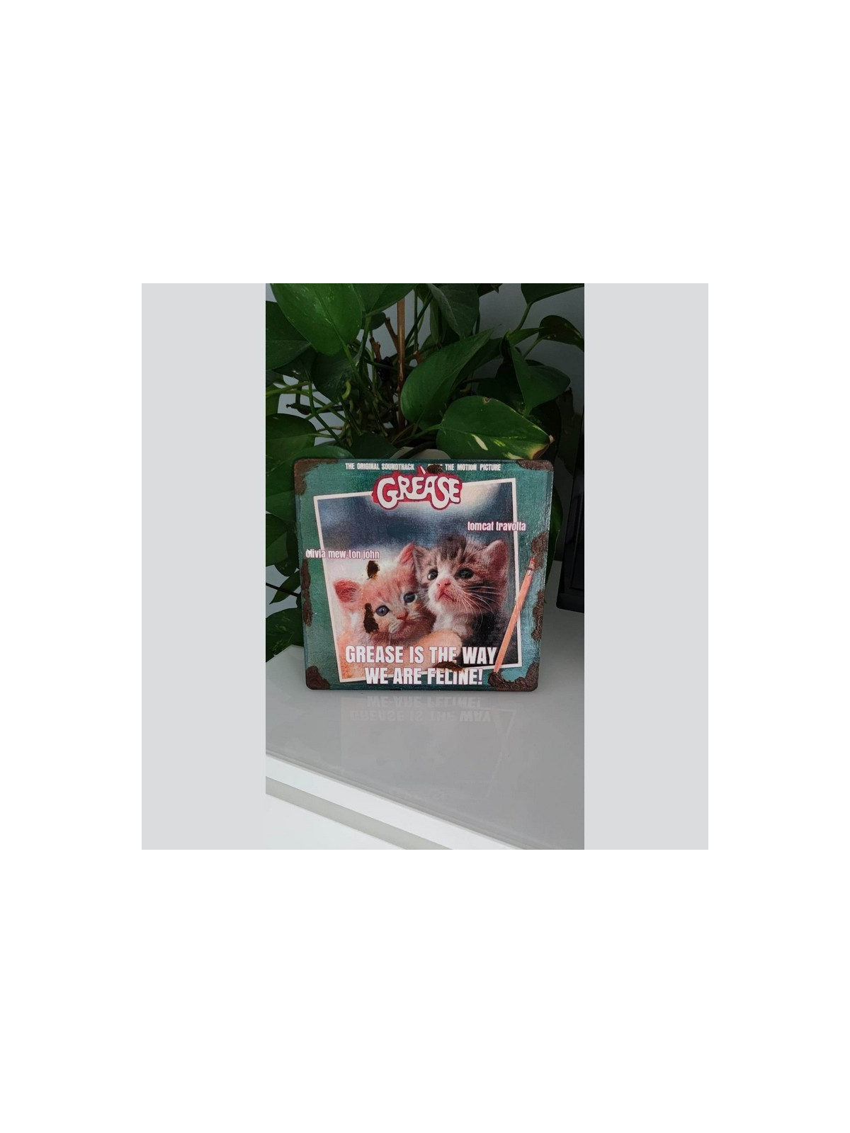 Plaque déco Grease Chatons - 100% mignonnerie
