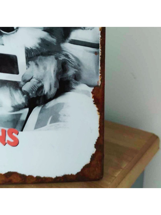 Plaque Déco Gremlins - Guizmo à Lunettes
