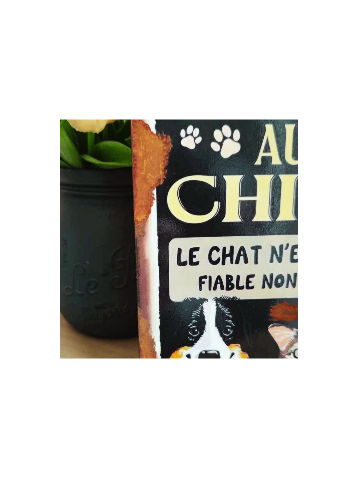 Plaque Déco Attention au chien, le chat n'est pas fiable non plus
