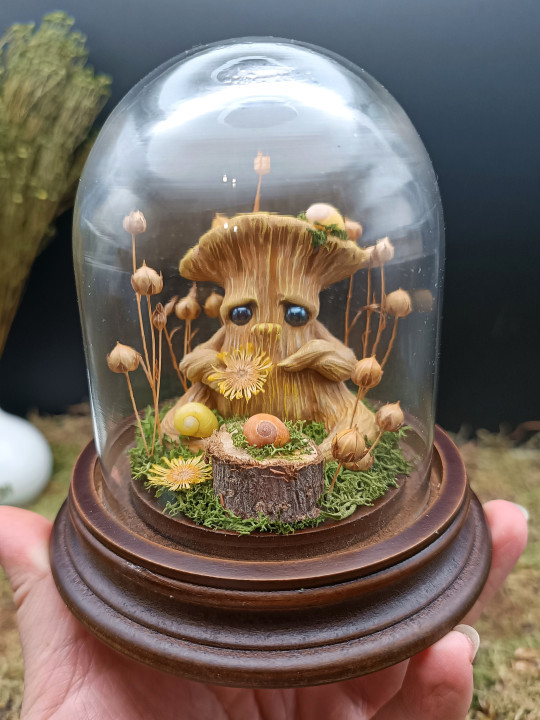 Amour d'escargots - mini monde végétal 