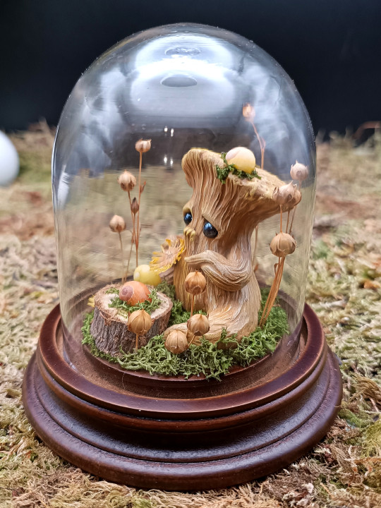 Amour d'escargots - mini monde végétal 