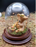 Amour d'escargots - mini monde végétal 