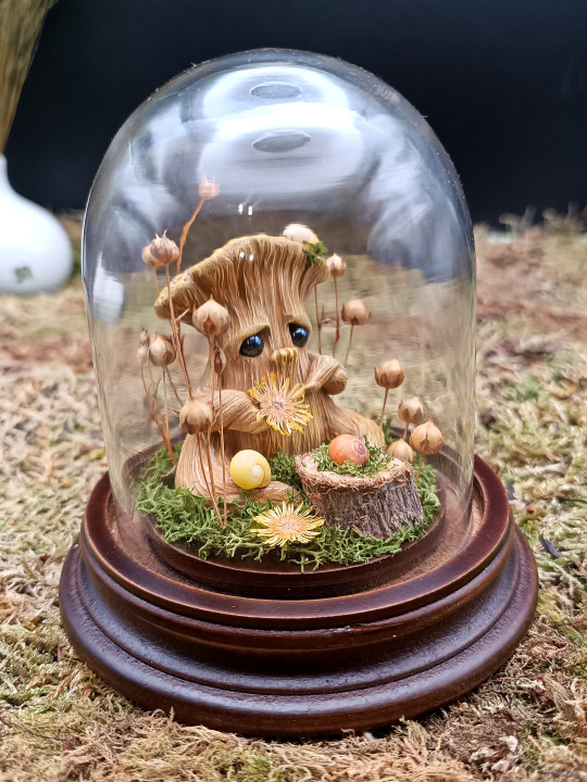 Amour d'escargots - mini monde végétal 