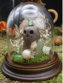 Gardienne des bois - mini monde végétal 