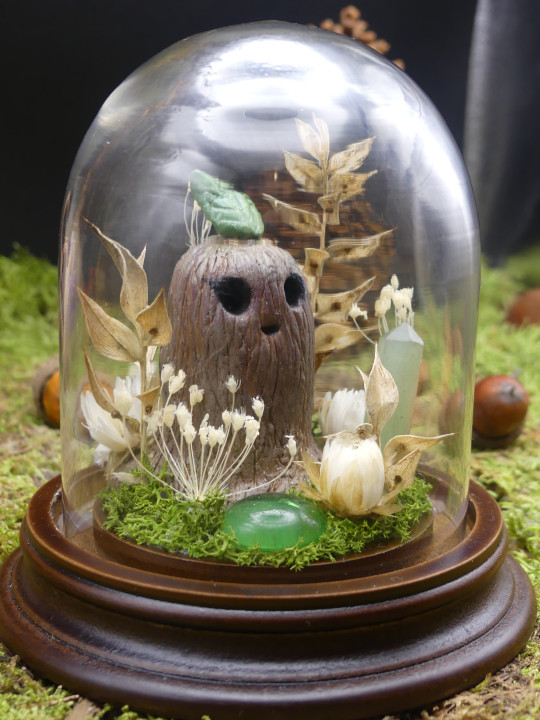 Gardienne des bois - mini monde végétal 