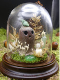Gardienne des bois - mini monde végétal 