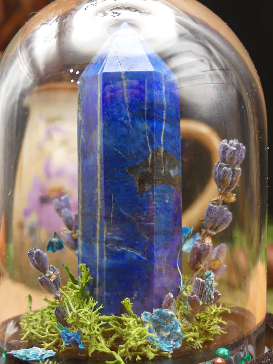 Lapis Lazuli- mini monde végétal 