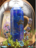 Lapis Lazuli- mini monde végétal 