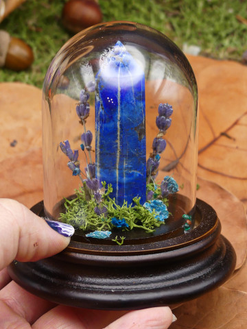 Lapis Lazuli- mini monde végétal 
