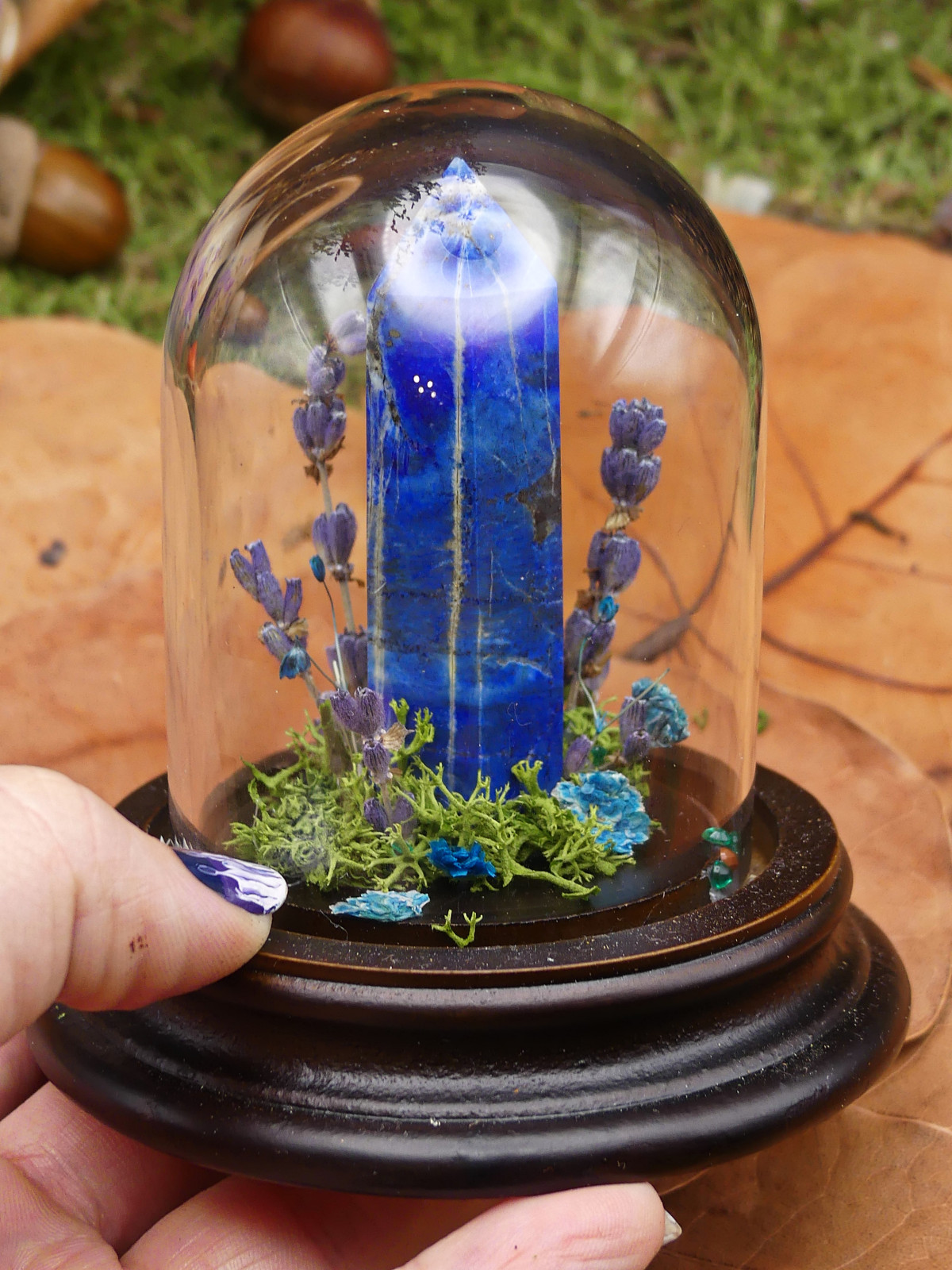 Lapis Lazuli- mini monde végétal 