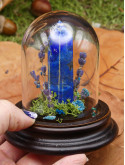 Lapis Lazuli- mini monde végétal 