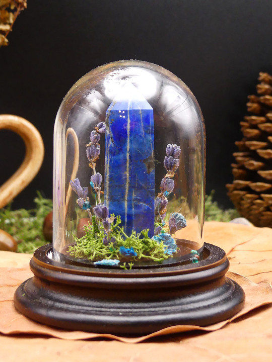 Lapis Lazuli- mini monde végétal 
