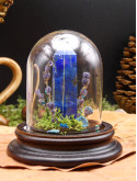 Lapis Lazuli- mini monde végétal 